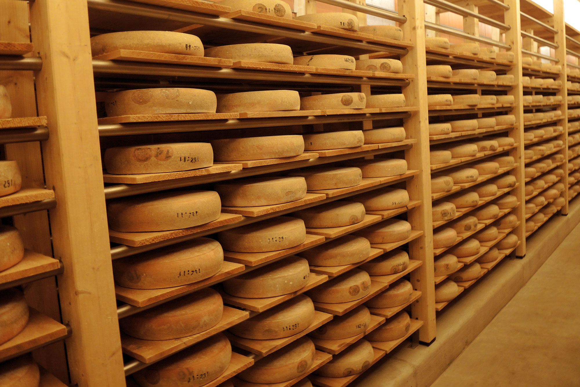 Fromageries Marcel Petite - Comté - Cave de maturation - Doubs - Photographies - Comté