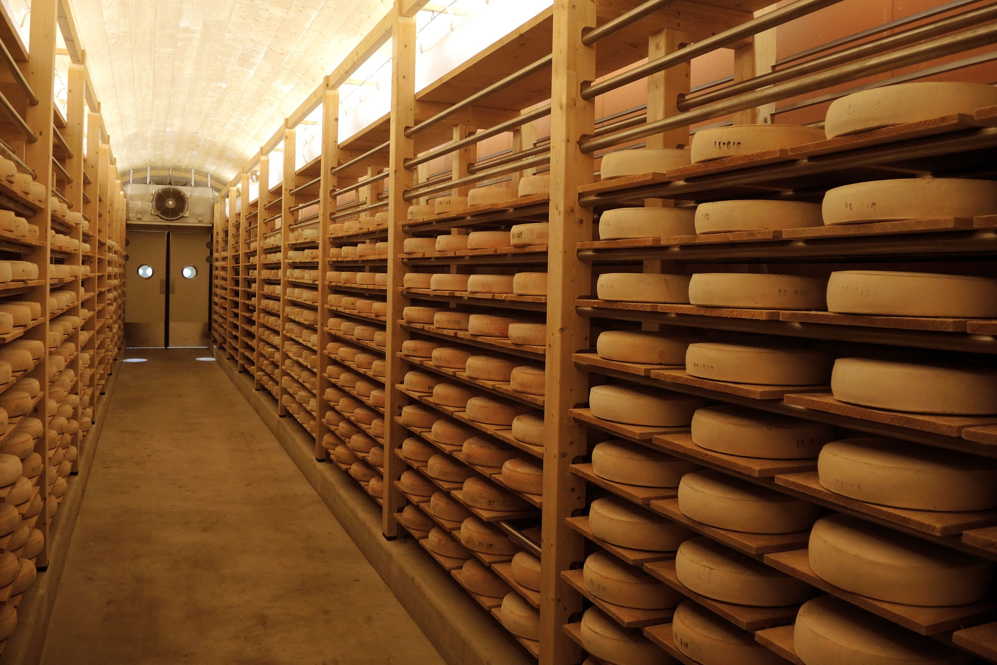 Fromageries Marcel Petite - Comté - Cave de maturation - Doubs - Photographies - Comté